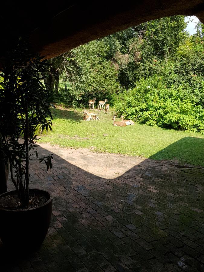 Kruger Park Lodge Unit No. 277 Hazyview Bagian luar foto