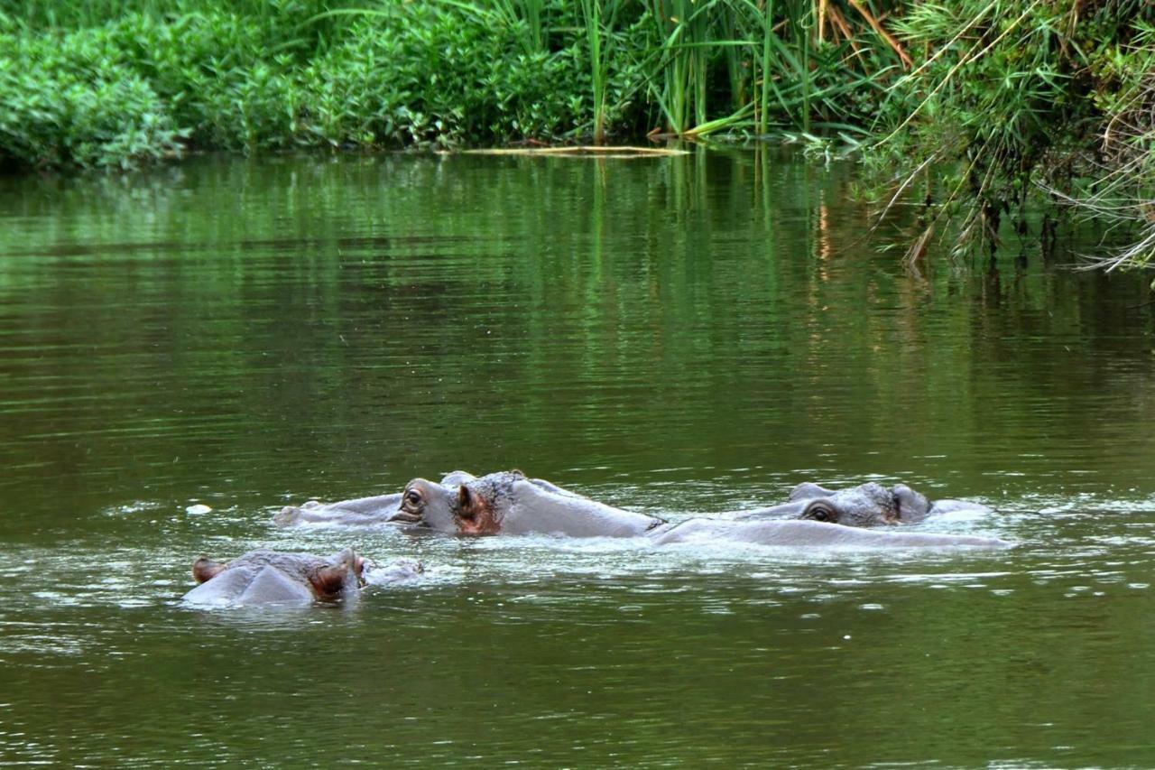 Kruger Park Lodge Unit No. 277 Hazyview Bagian luar foto
